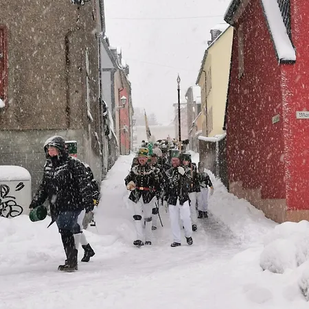 Apartman Altstadt-domizil