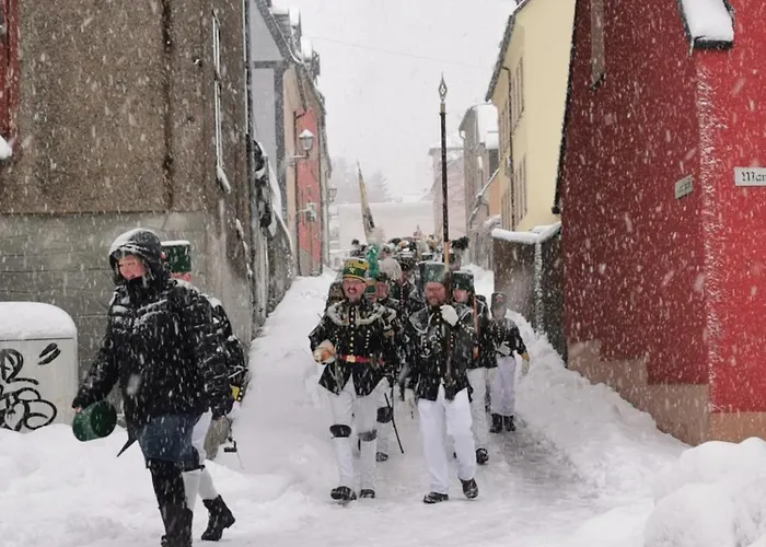 Apartament Altstadt-domizil